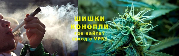 не бодяженный Бородино