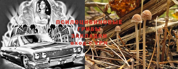 не бодяженный Бородино
