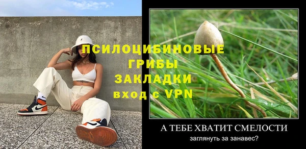 не бодяженный Бородино
