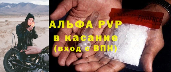 не бодяженный Бородино