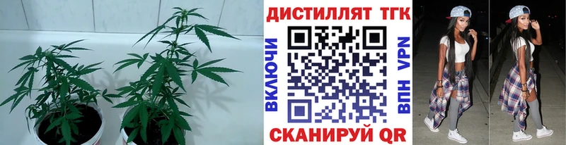 Дистиллят ТГК вейп с тгк  Купить закладки  Верхняя Салда 