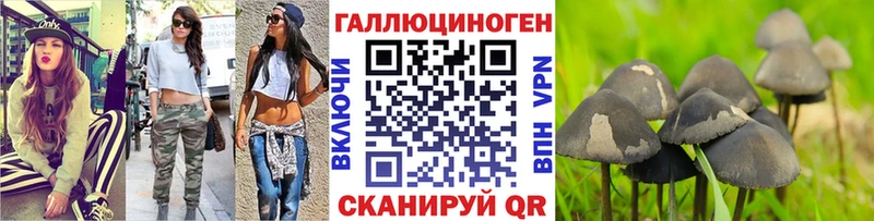 Купить закладки  Верхняя Салда  Псилоцибиновые грибы MAGIC MUSHROOMS 